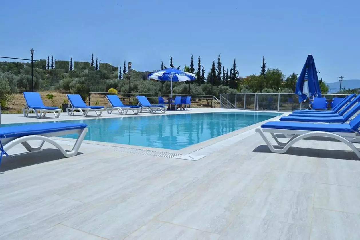 BELMARE_SHABAVIZ (14).jpg